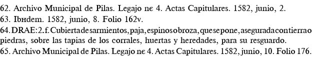 62  Archivo Municipal de Pilas  Legajo n  4  Actas Capitulares  1582, junio, 2  63  Ibídem  1582, junio, 8  Folio 162   