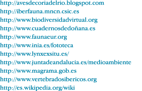 http:  avesdecoriadelrio blogspot com http:  iberfauna mncn csic es http:  www biodiversidadvirtual org http:  www cu   