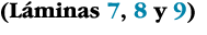 (Láminas 7, 8 y 9)