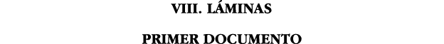 VIII  LÁMINAS PRIMER DOCUMENTO 