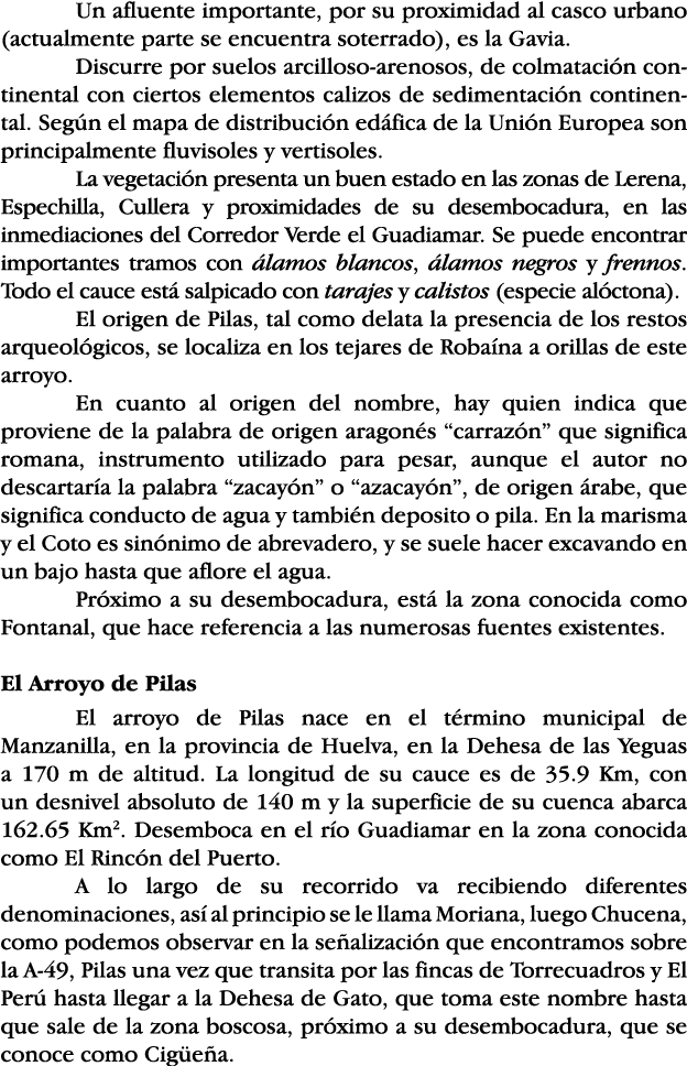 Un afluente importante, por su proximidad al casco urbano (actualmente parte se encuentra soterrado), es la Gavia  Di   