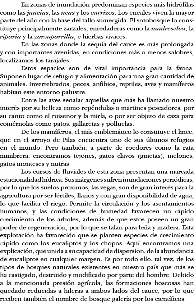 En zonas de inundación predominan especies más hidrófilas como las juncias, las neas y los carrizos  Los eneales vive   