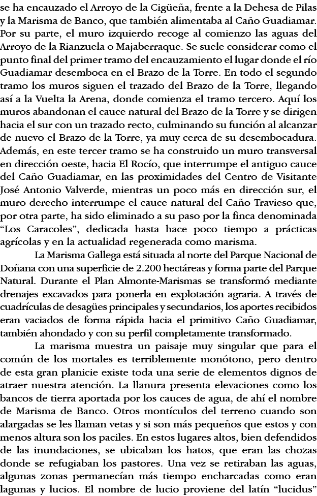 se ha encauzado el Arroyo de la Cigüeña, frente a la Dehesa de Pilas y la Marisma de Banco, que también alimentaba al   