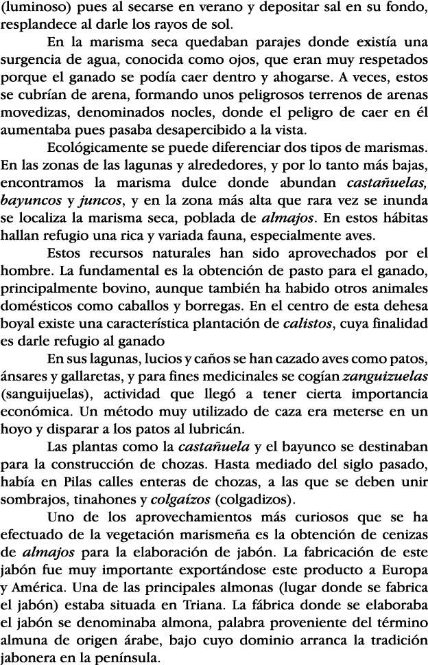 (luminoso) pues al secarse en verano y depositar sal en su fondo, resplandece al darle los rayos de sol  En la marism   