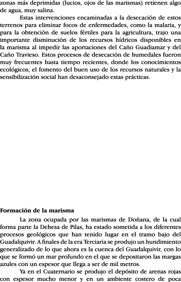 zonas más deprimidas (lucios, ojos de las marismas) retienen algo de agua, muy salina  Estas intervenciones encaminad   