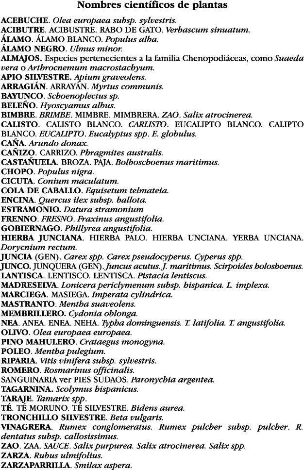 Nombres científicos de plantas ACEBUCHE  Olea europaea subsp  sylvestris  ACIBUTRE  ACIBUSTRE  RABO DE GATO  Verbascu   